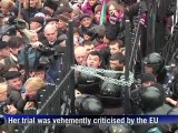Kiev protesters show support for Tymoshenko appeal
