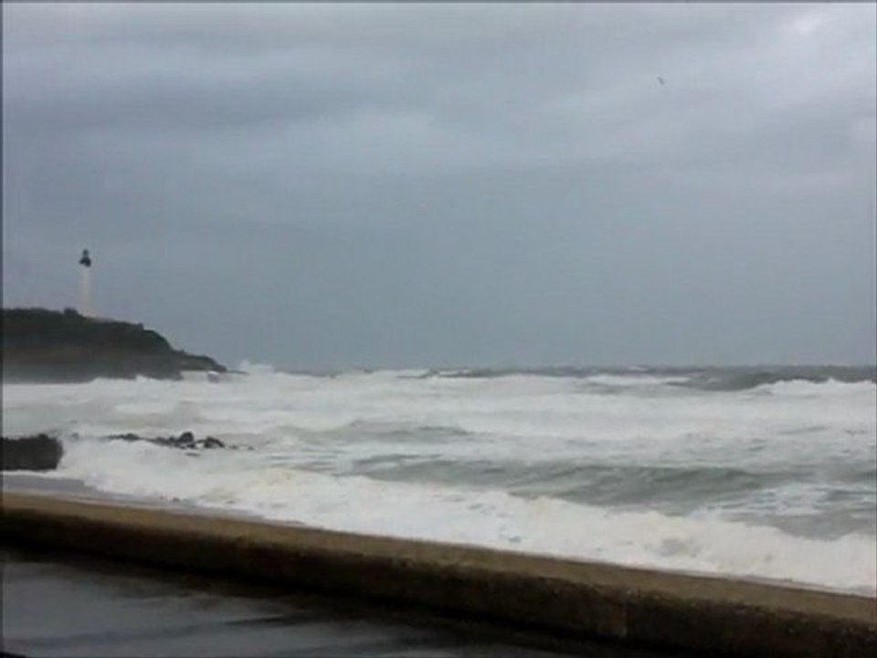 surf report du matin