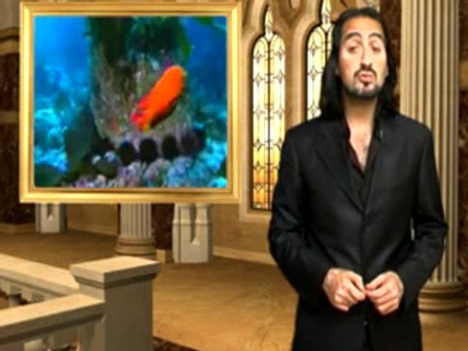1 Balıklar Suda Nasıl Yaşarlar_xvid