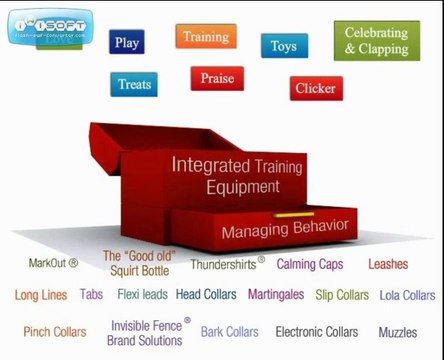 Dog Training Tucson | Garvin's Dog Training Center | 520-790-3647 | 5007 E 29th St, Tucson, AZ 85711