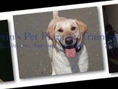 Dog Training Tucson | Garvin's Dog Training Center | 520-790-3647 | 5007 E 29th St, Tucson, AZ 85711