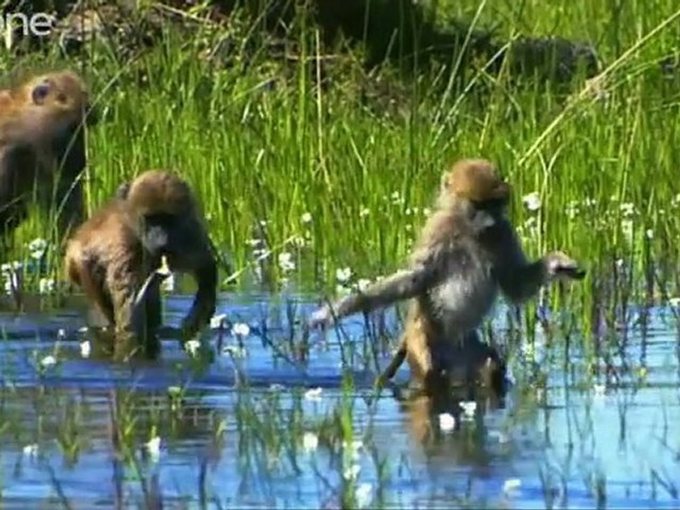 2 Min See our Amazing World