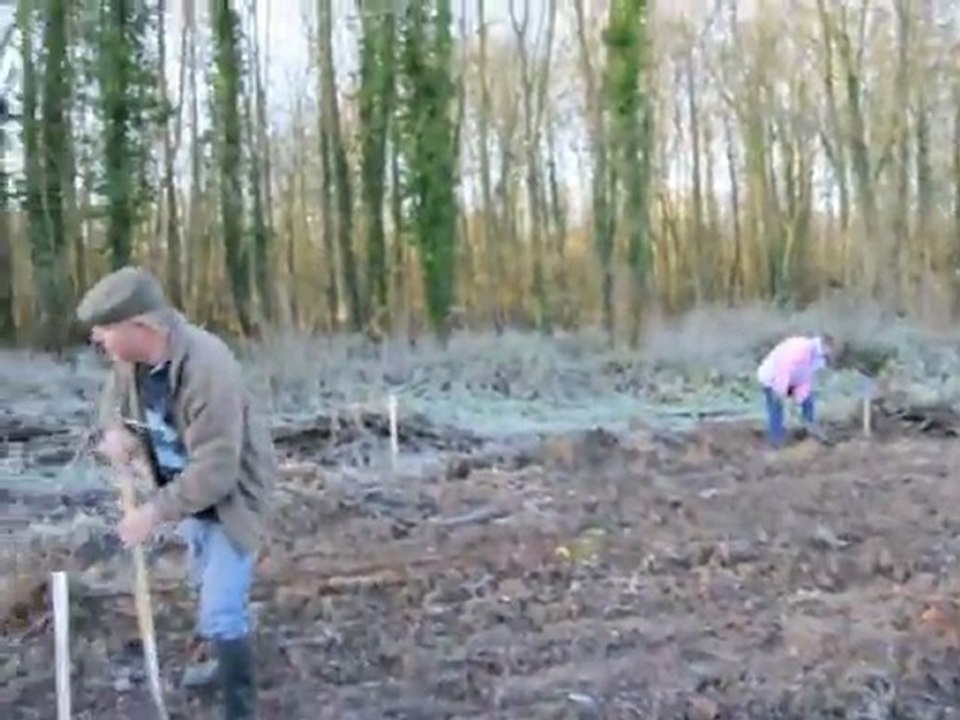 Marœuil : de nouveaux arbres pour le marais