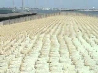 Atlantic City Inlet Clips