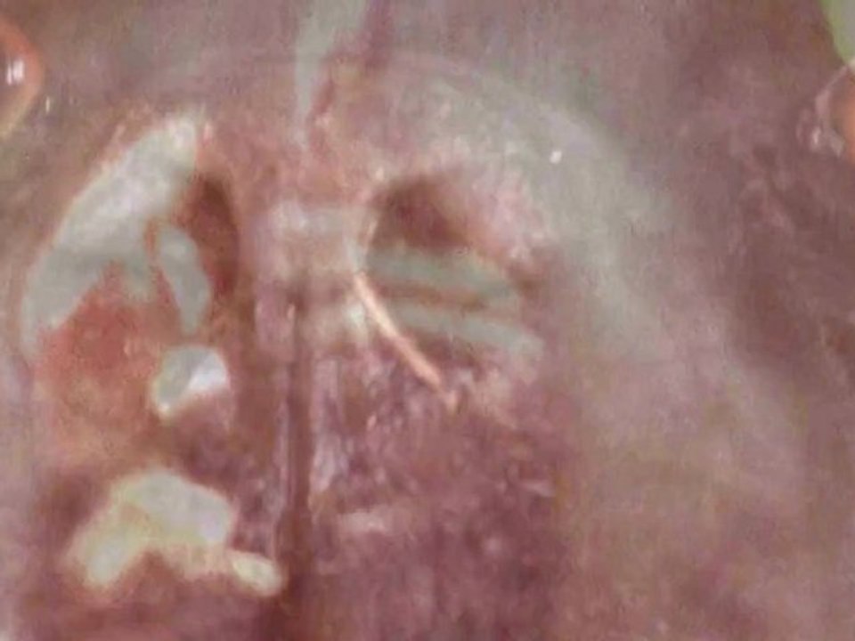 Leo FERRE il n'y a plus rien