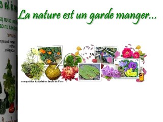 Au coeur des plantes, au Jardin de La Source.