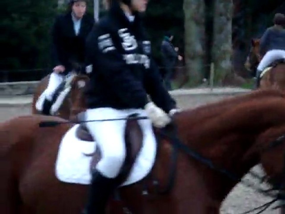 MOV03252