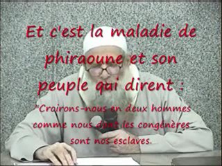 Les 10 raisons qui empechent de suivre la vérité ! Cheikh Raslan