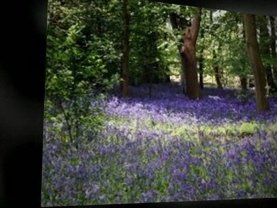 Chiropractors in Falls Church - Dr. Shirine Hegazi