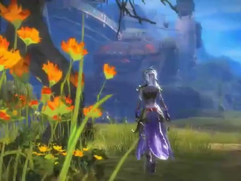 Guild Wars 2   (PC)