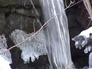 Nature en Marches - I - Les neiges éphémères