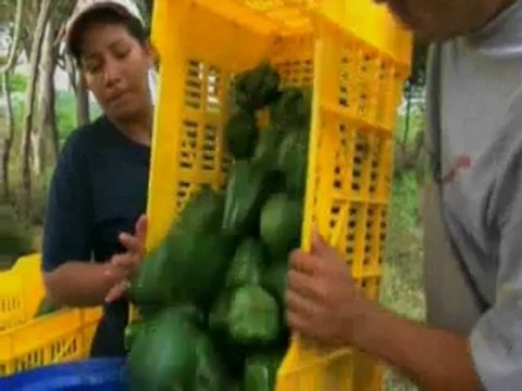 Cayendo y Corriendo del día martes, 13.12 2011 2/2