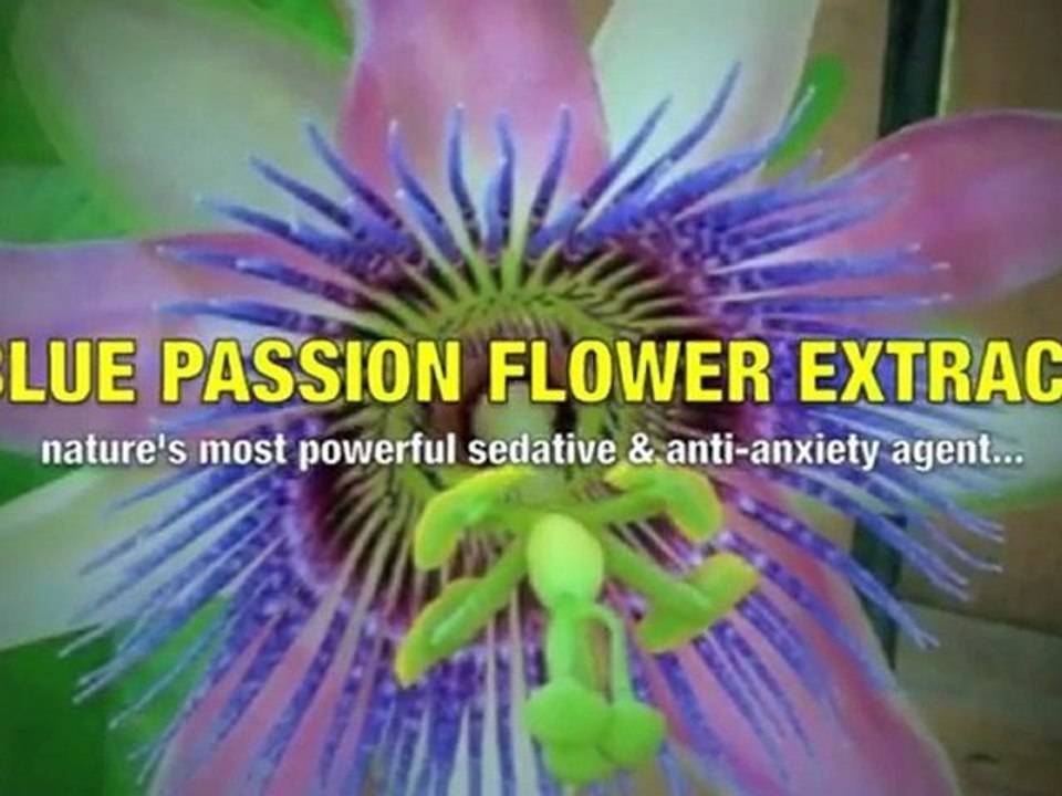 Natural Remedies for ED - Top Supplements for ED You Must Know!