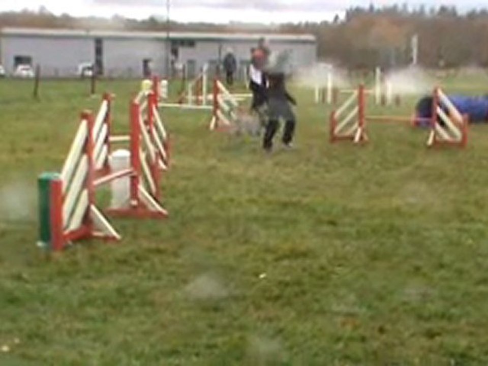 Baïla entrainement Commentry 04 12 2011 jumping 2