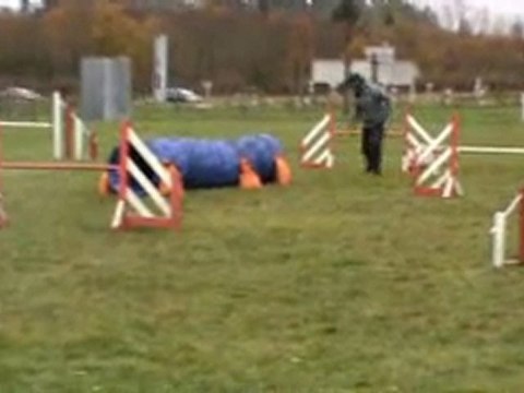 Chanel entrainement Commentry 04 12 2011 1er jumping 2