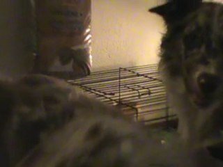 1ers jours Yoga/ tact de Chanel