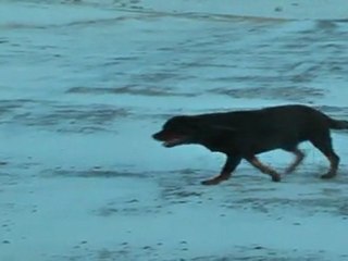 DjóDjó and AMY whit Nightwish