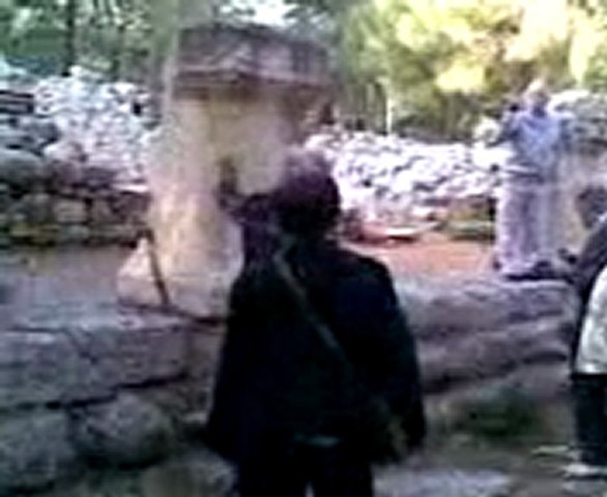 İstanbul, İzmir, Ayvalık, Çeşme, Foça, Kuşadası, Selçuk, Efes, Bergama İngilizce-Norvecce Profesyonel Kokartlı Turist Rehberi ---The swedish speaking guide in Phaselis, Turkey /// Antikkestaden Phaselis