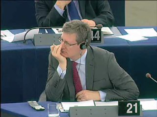 Renate Weber on Freedom of movement for workers
