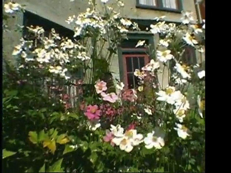 4b-abigail'shotel