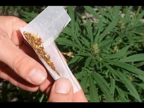 Ginsu !!!!!!!!!! Mix Legalisation du Cannabis !!!!!!!!!!!