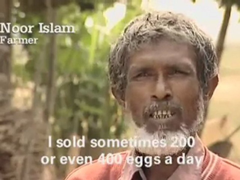 Christian Aid: Superducks
