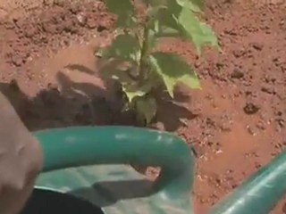 Alex James in Burkina Faso