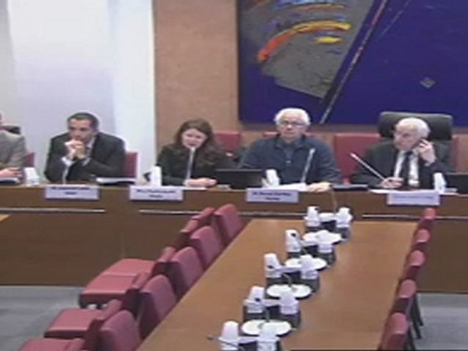 Table ronde IAE à la commission des Affaires sociales de l'Assemblée Nationale