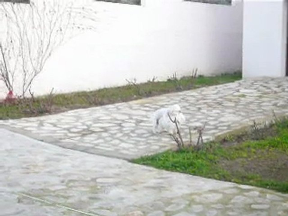 P1050174