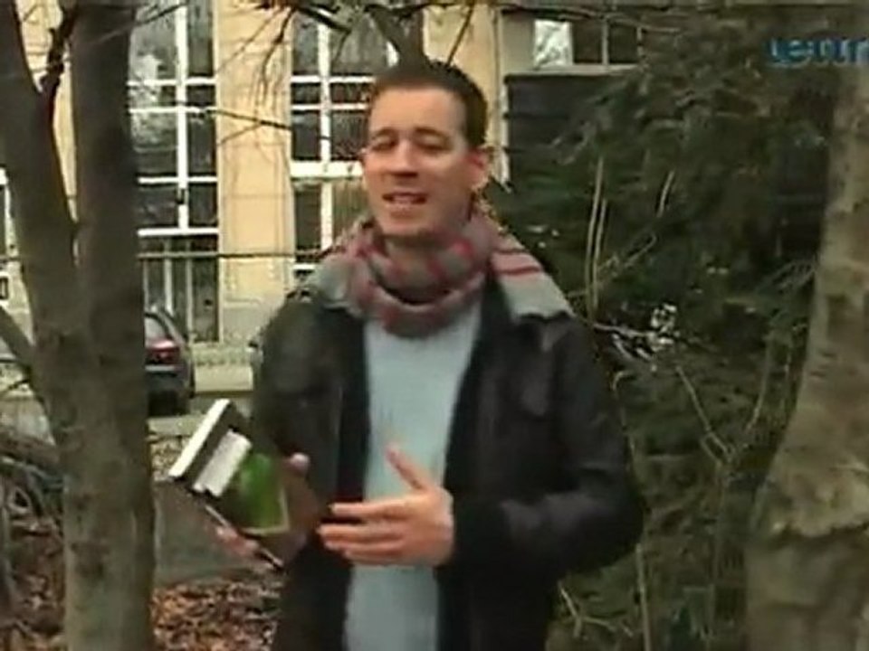 Steirerblut von claudia rossbacher