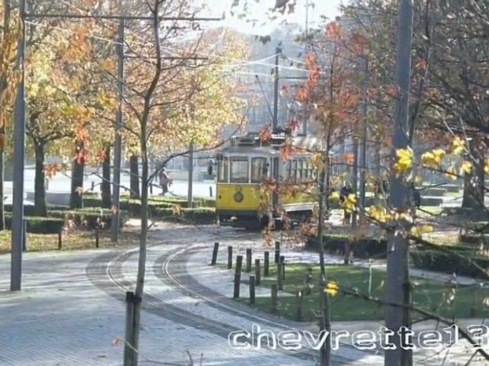 centro campo martires