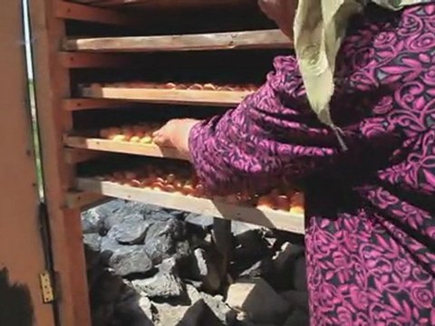 Drying apricots with solar technology in Tajikistan