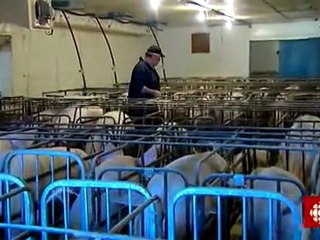 La semaine verte - Cruel printemps au Manitoba