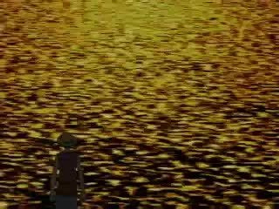 One piece ending 1 : "Memories"