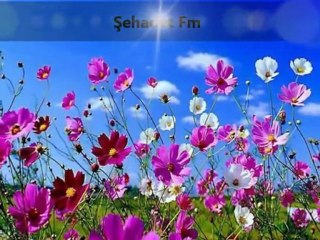 Çok Güzel Bir İlahi