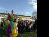 TELETHON 2011 : Lacher de ballons à Angles (Vendée-85)