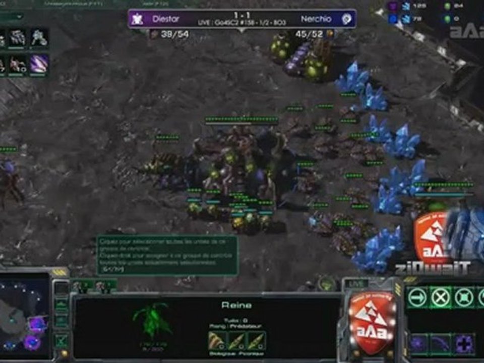 SC2 : Nerchio (Z) vs Diestar (T)