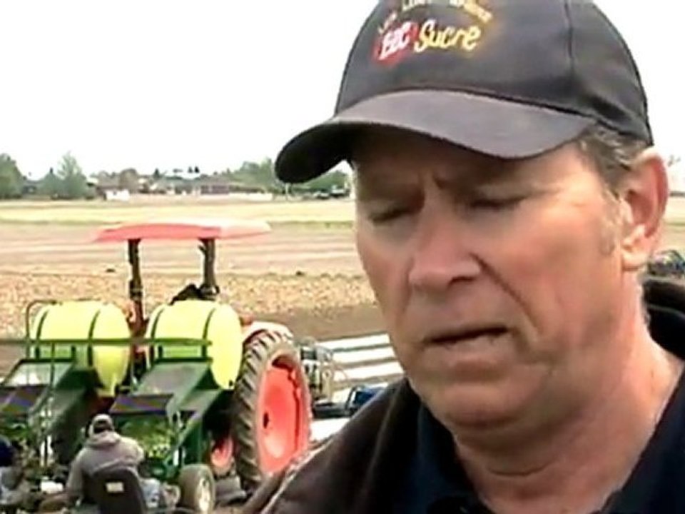 Téléjournal - Les travailleurs agricoles saisonniers