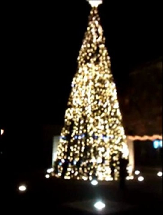 Choinka na Placu Artystów