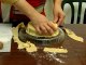 How To Make Marzipan Candy & Cake Decorations _ Marzipan Cake Decorating Tips