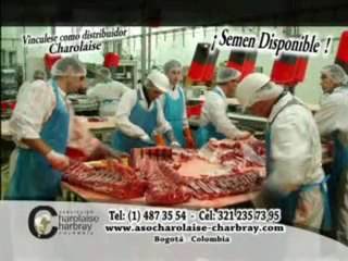 1_JUEVES 15 DICIEMBRE 2011 hda la estrella 2