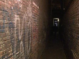 Instincts Bande Annonce