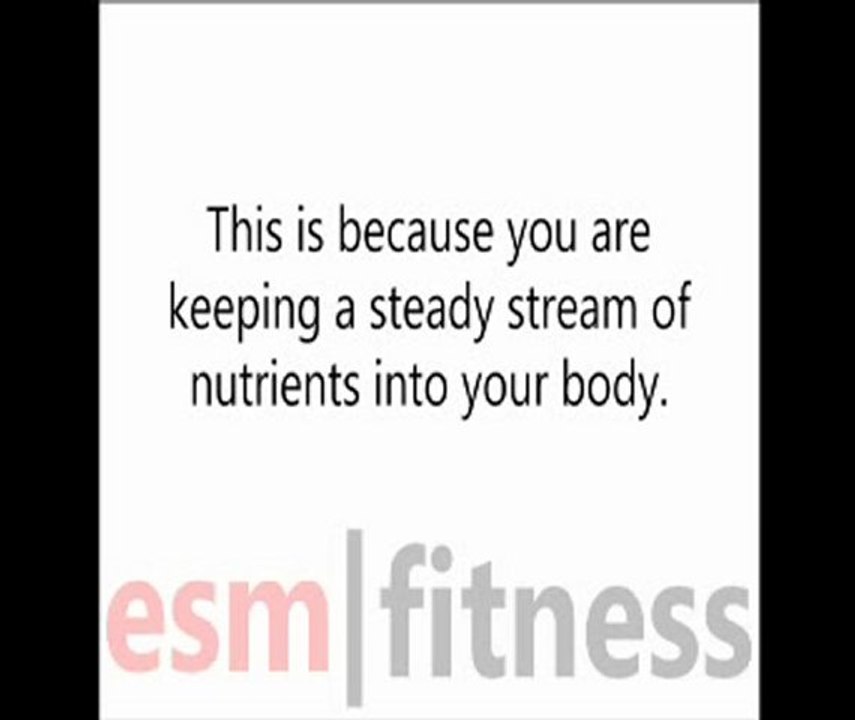 Beginners Guide For Healthy Weight Loss
