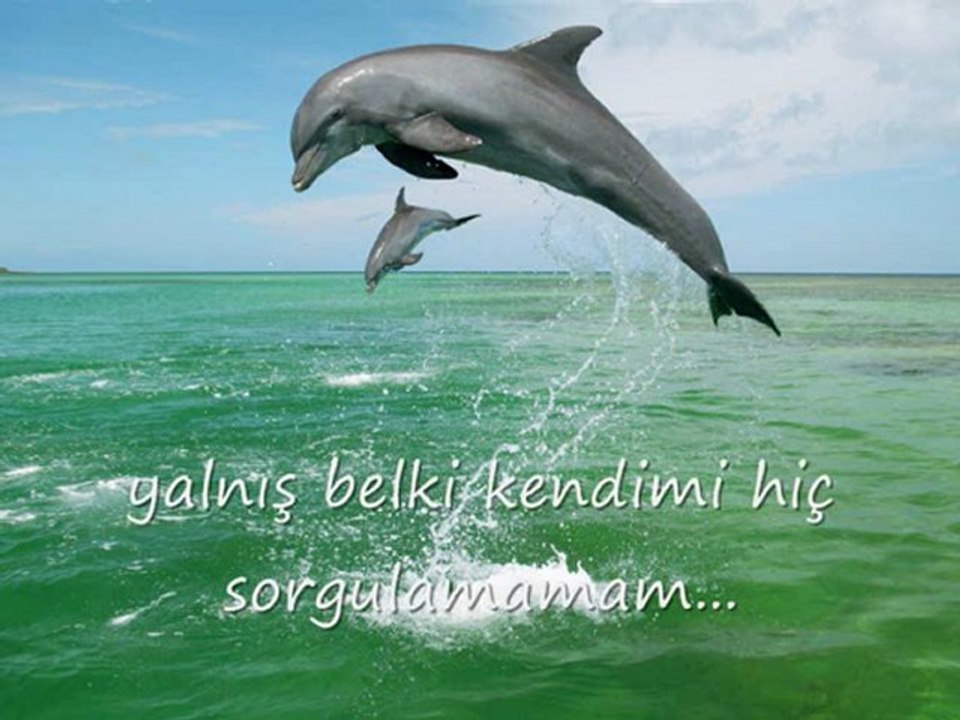 insanların içinde parmak sayıyorum...
