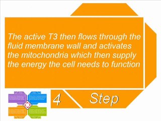 Is There a Natural Treatment for Hypothyroidism? Part 1