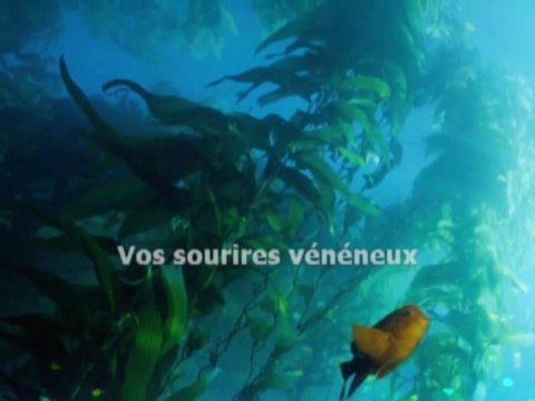 Figures imposées - Julien Doré