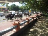 Ride Your Horse up to Big Lee's in Puerto Plata, D.M.