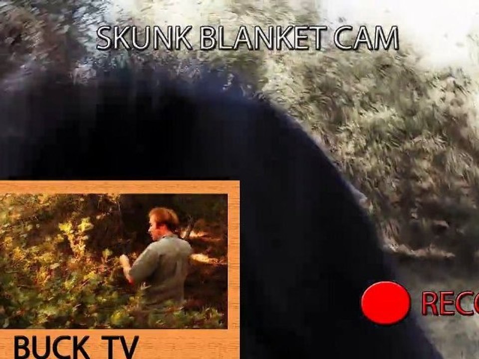 "SKUNK BLANKET" ©