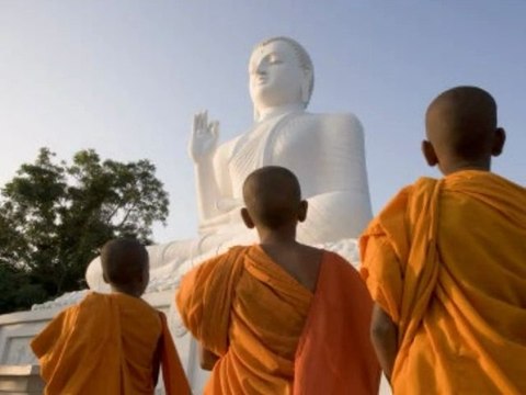 BOUDDHA SAGESSE EN EVEIL