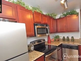 The Village at Gracy Farms Apartments in Austin, TX - ...